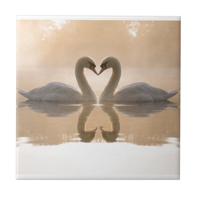 Swan Love Ceramic Tile (Front)