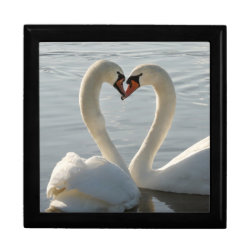 Swan Love Gift Box