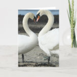 Swan Love Greeting Card