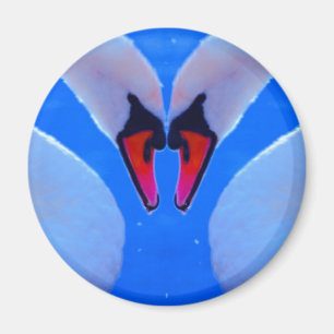 Swan Love, Romantic Heart Shaped Necks Magnet