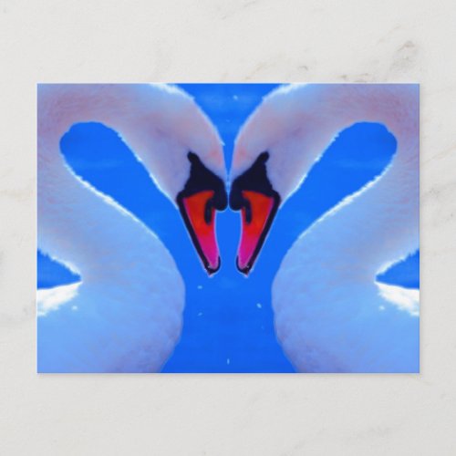 Swan Love Romantic Heart Shaped Necks Postcard