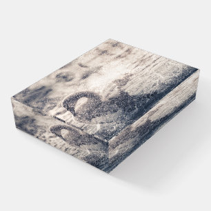 Swan Nature Photo Paperweight