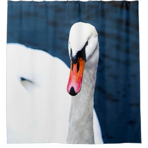 Swan Of The Lake Shower Curtain