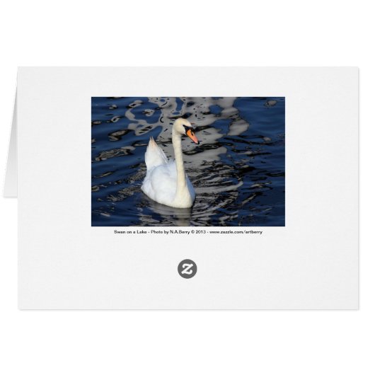 Swan on a Lake (Back Horizontal)