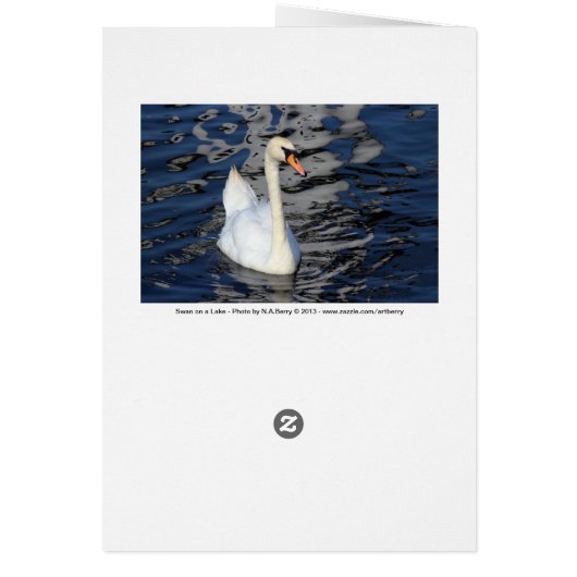 Swan on a Lake (Back)