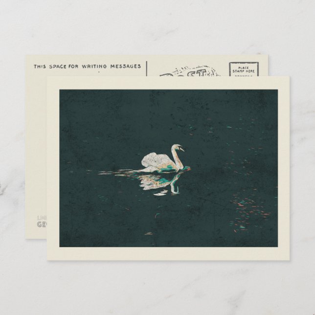 Swan on a lake postcard (Front/Back)