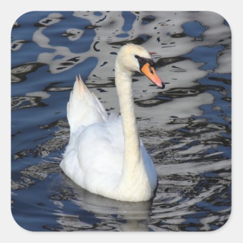 Swan on a Lake Square Sticker
