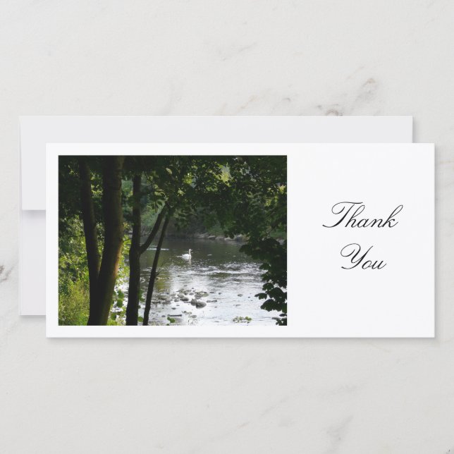 Swan on a River - Thank You Card (Front)