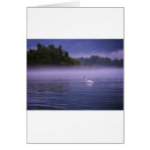 Swan on lake (Front)