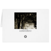 Swan on the River (Back Horizontal)