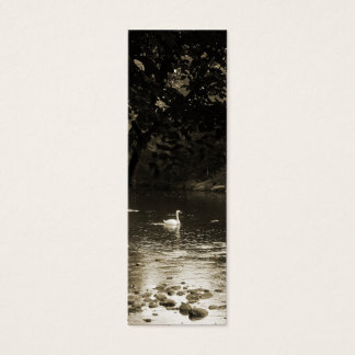 Swan on the River Bookmark