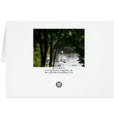 Swan on the River II (Back Horizontal)