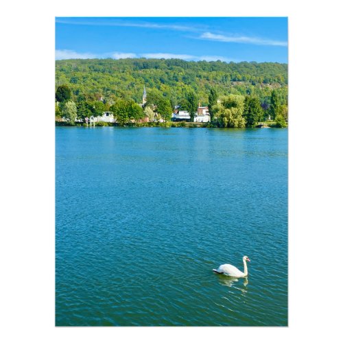 Swan on the River Seine in Vernon France Photo Print