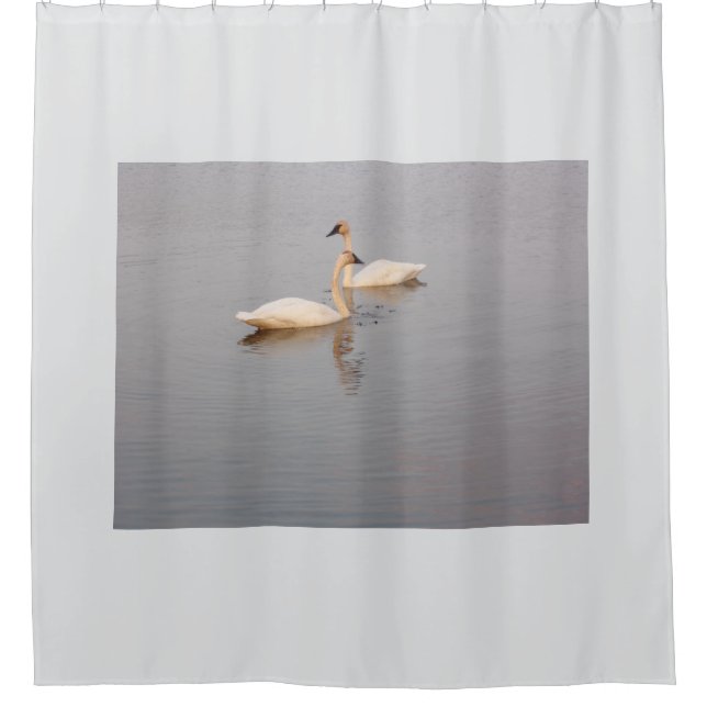 Swan Pair Shower Curtain (Front)