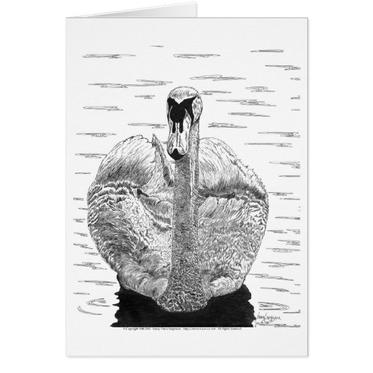 Swan Pen and Ink Cards (Front)