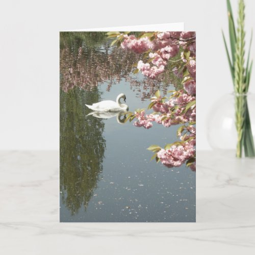 Swan Photo Card
