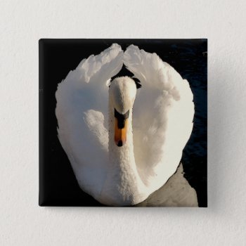 Swan Pinback Button by AuraEditions at Zazzle