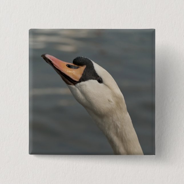 Swan Pinback Button (Front)