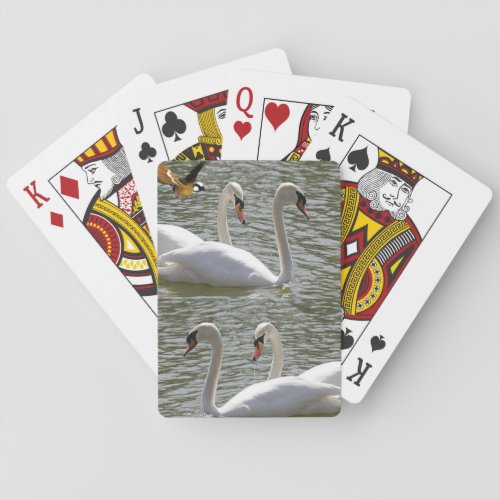 Swan Playing Card Deck