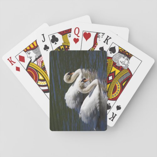 Swan Poker Cards