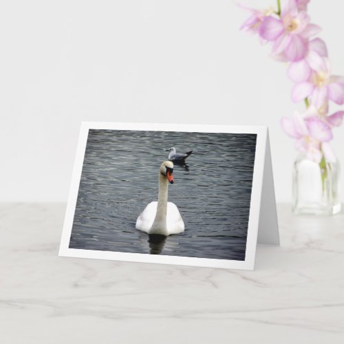 Swan Portrait Card