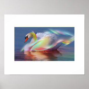 Swan Poster