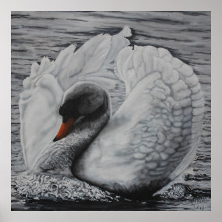 Swan Poster