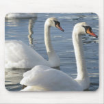 Swan Reflections Mouse Pads