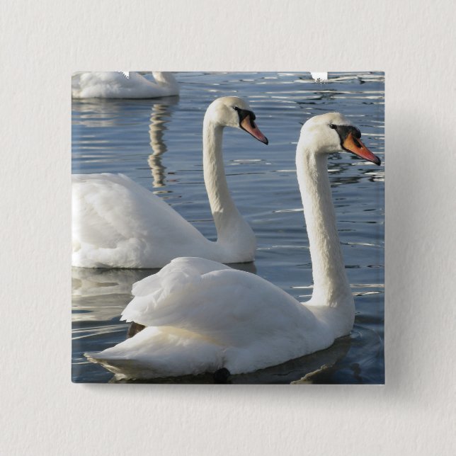 Swan Reflections Pin (Front)