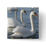 Swan Reflections Pin