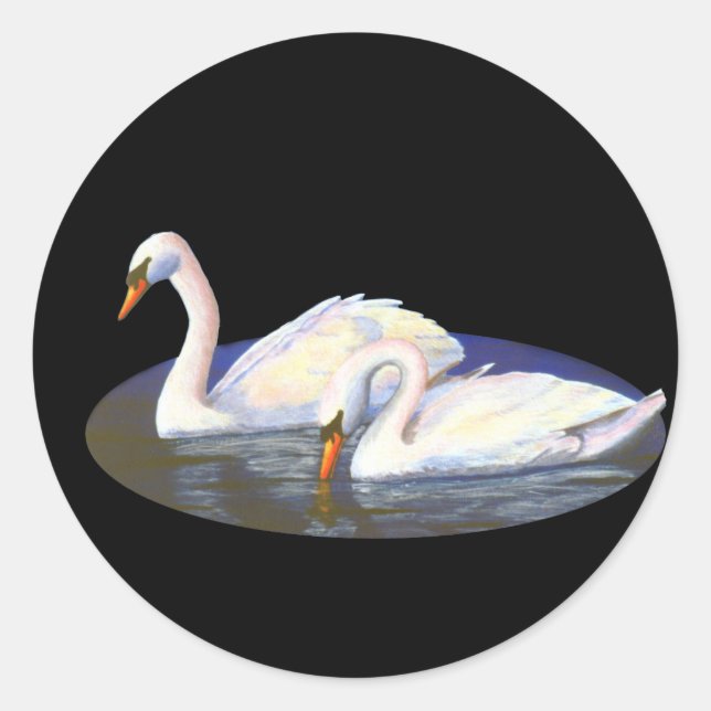 Swan Reflections Sticker (Front)