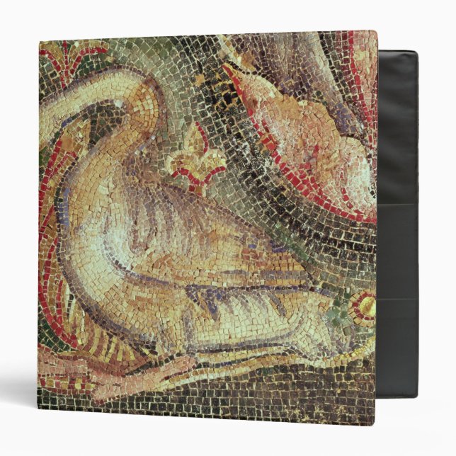 Swan, restored c.1200 binder (Front/Inside)