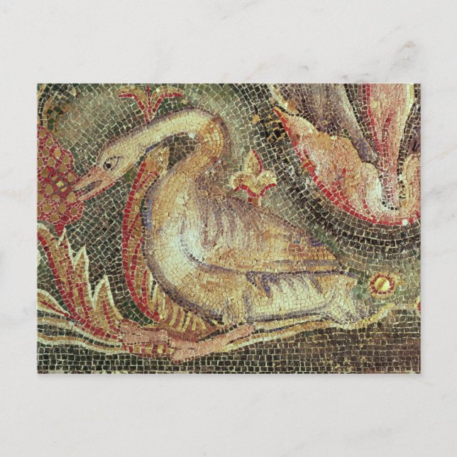 Swan, restored c.1200 postcard (Front)