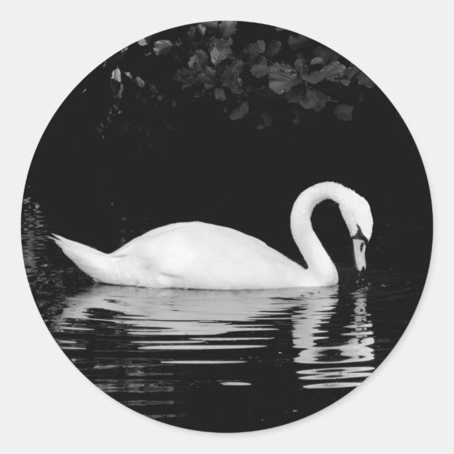 Swan, Roath Park, Cardiff. Classic Round Sticker (Front)