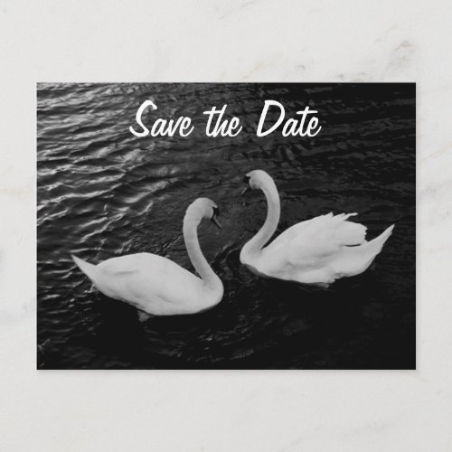 Swan Save the Date Postcard