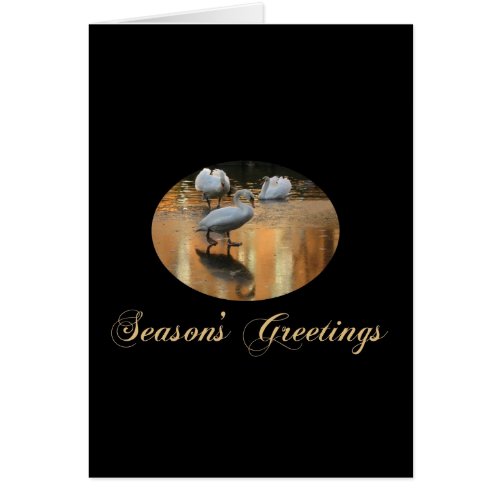 swan seasons greetings