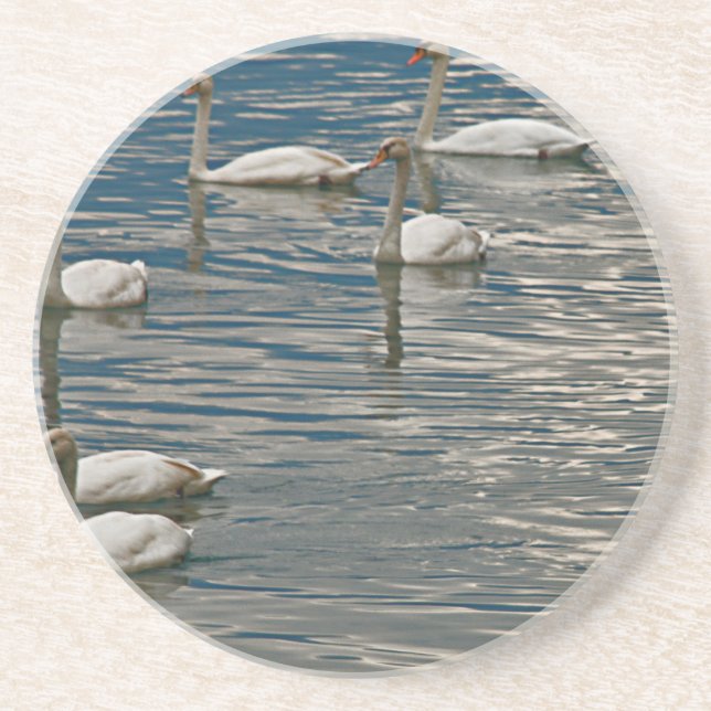 Swan Song Sandstone Coaster (Front)