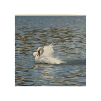 Swan Splashing in the Water Wood Wall Art