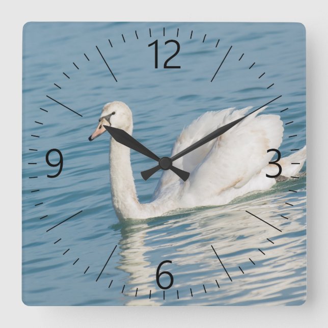 Swan Square Wall Clock (Front)