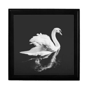 Swan Swimming Black and White Gift Box