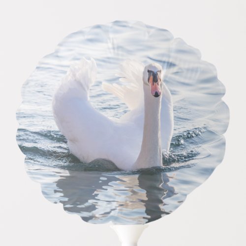 swan swimming with wings raised balloon