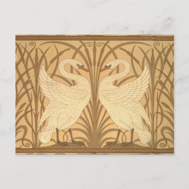 Swan wallpaper design postcard (Front)