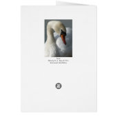 Swan (Wide Border) Cards (Back)