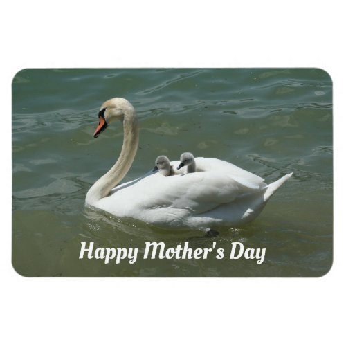Swan With Babies Flexible Photo Magnet