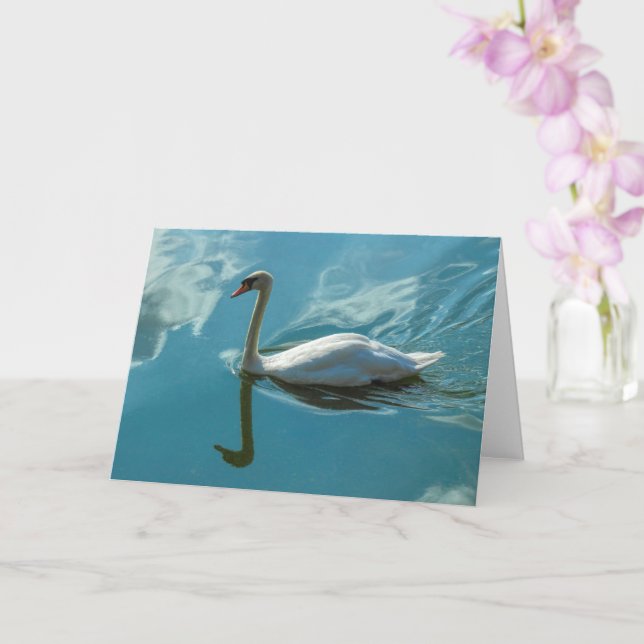 Swan with Cloud Reflections Card (Orchid)