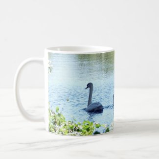 Swan With Cygnets on River Coffee Mug