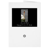 Swan with Reeds (Back)