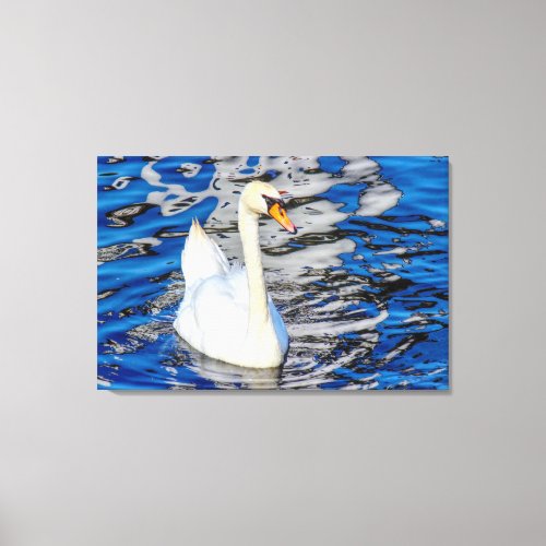 Swan with Reflections Canvas Print