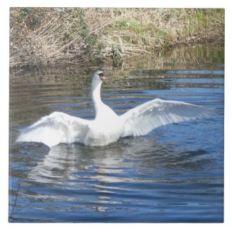 Swan with Spread Wings in Water Ceramic Tile