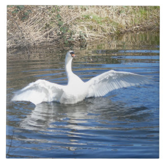 Swan with Spread Wings in Water Ceramic Tile